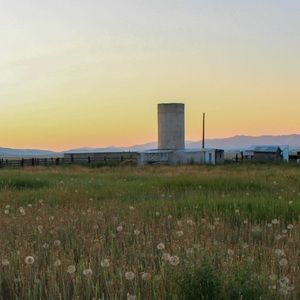 Meet your Posher, Lydia